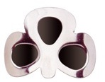 More about Coloured Shamrock Buckles: Black